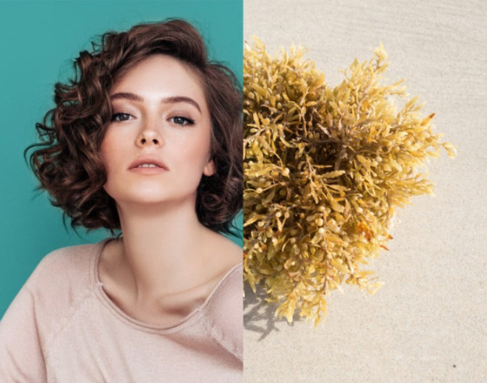 ICONE - Soins coiffants naturels et professionnels
