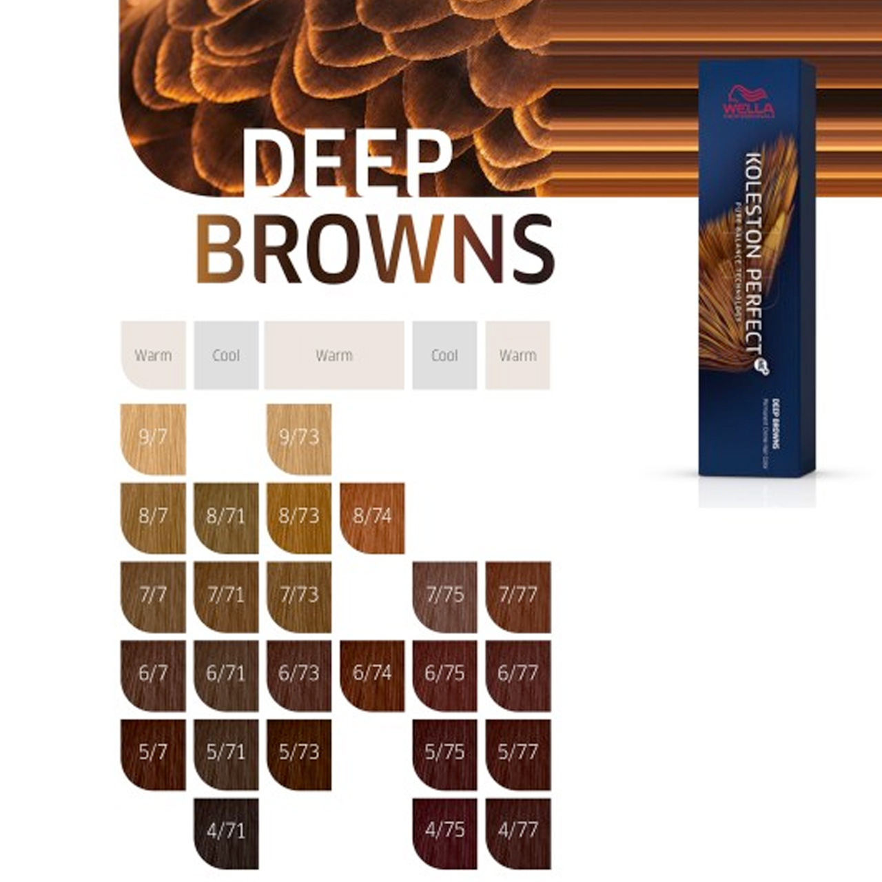 KOLESTON COLOR-DEEP BROWNS