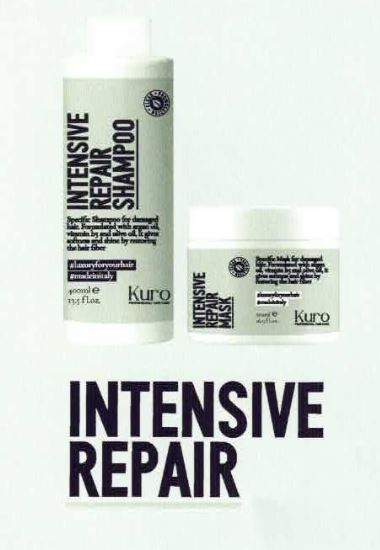 INTENSIVE REPAIR
