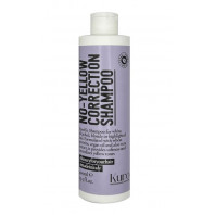 NO-YELLOW CORRECTION SHAMPOO 400ML