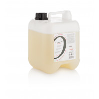 HERFIT SHAMPOOING CHEVEUX COLORES ET SECS 5L