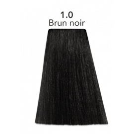 COLOR ONE 1.0 BRUN NOIR 100ML