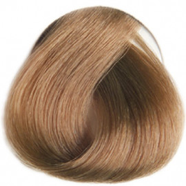 REVERSO 7.31 NOIX DU BRESIL BLOND