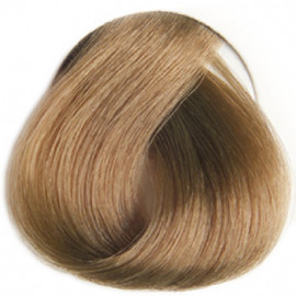 REVERSO 8.31 BLOND CLAIR HAVANE