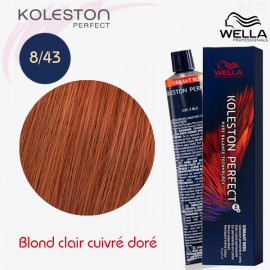 KP ME+ 8/43 Vibrant Reds