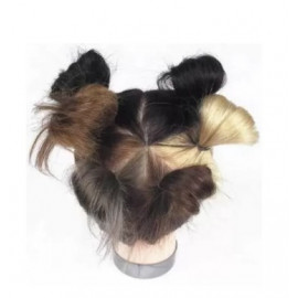 Tête Cinkol 20-25 Cms Teinture 5 Colors