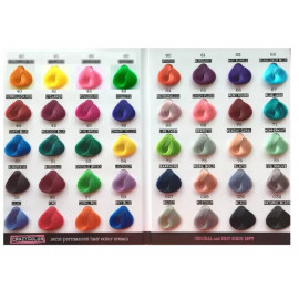 NuancierCrazyColor livret32*23cm avec 40 méchettes