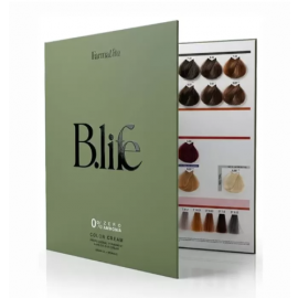 B-Life Nuancier 45 Mèchet.Color  2013-12  Fvita