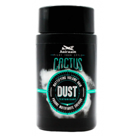 HAIRGUM DUST CACTUS 15G 15G