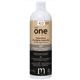 COLOR ONE 4.0 CHATAIN 300ML