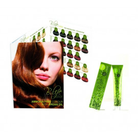 B-Life Nuancier 45 Mèchet.Color 2013-12 Fvita