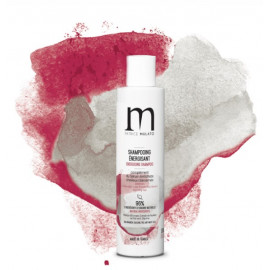 TRAITANT SHAMPOOING ENERGISANT 200ML