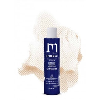SHAMPOOING REPIGMENTANT PATRICE MULATO TERRE BLEUE 200ML