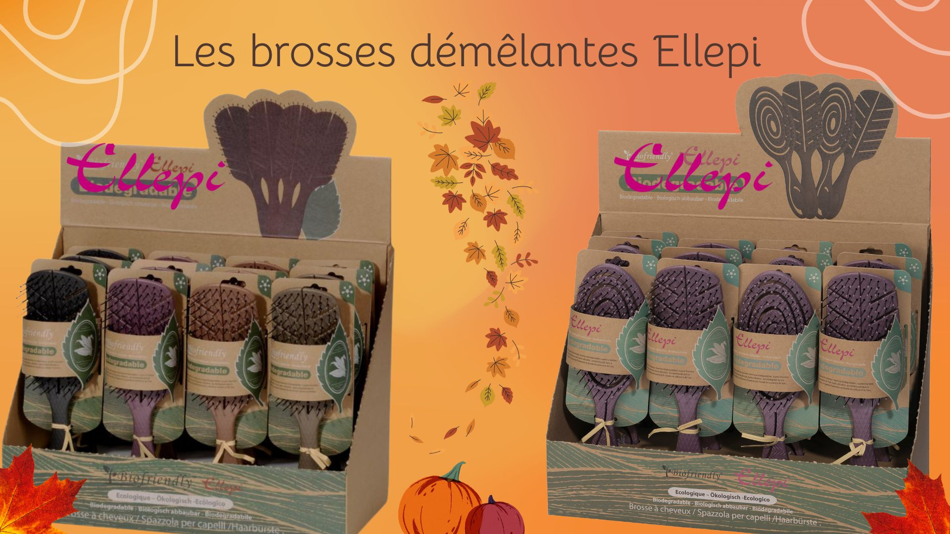 BROSSES BIO AUTOMNE